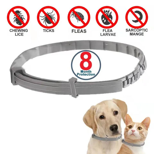 Anti Flea And Ticks Dog Collar